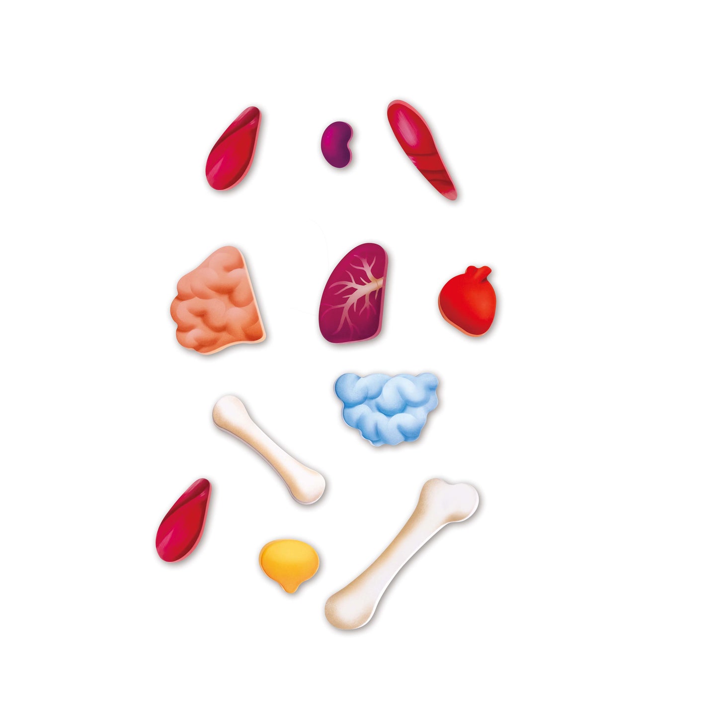 Puzle Cuerpo Humano de Hape