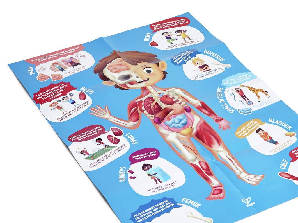 Puzle Cuerpo Humano de Hape