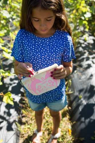 ESTUCHE ROSA Pincel mágico + polvos plateados + labial de frambuesa