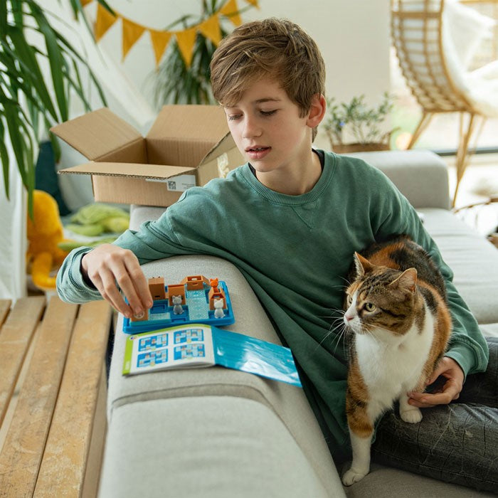 Gatos y Cajas - Smart games