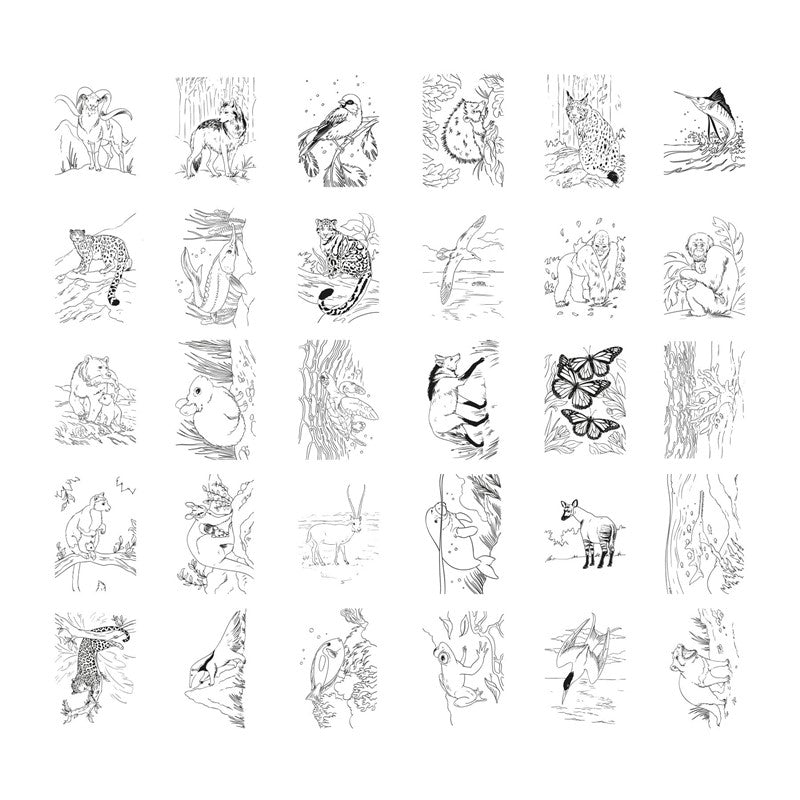 KIDYDRAW PAD Animales | Tableta de Dibujo Retroiluminada para Niños