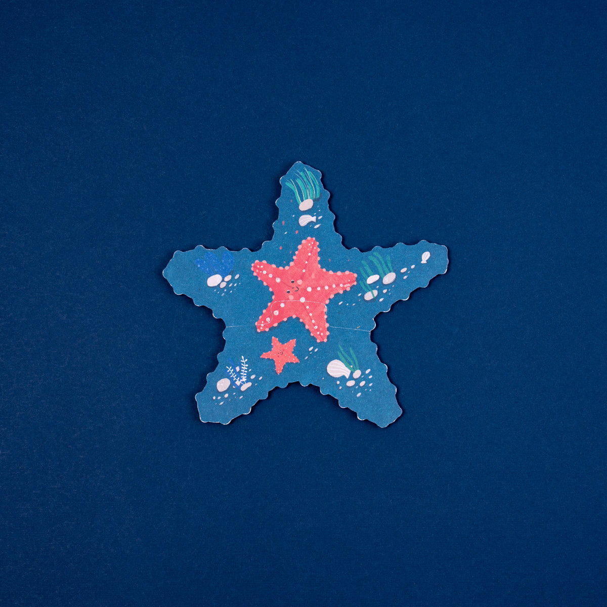 Puzzle Blue Londji: 7 Puzzles Reversibles de Animales del Mar - 11