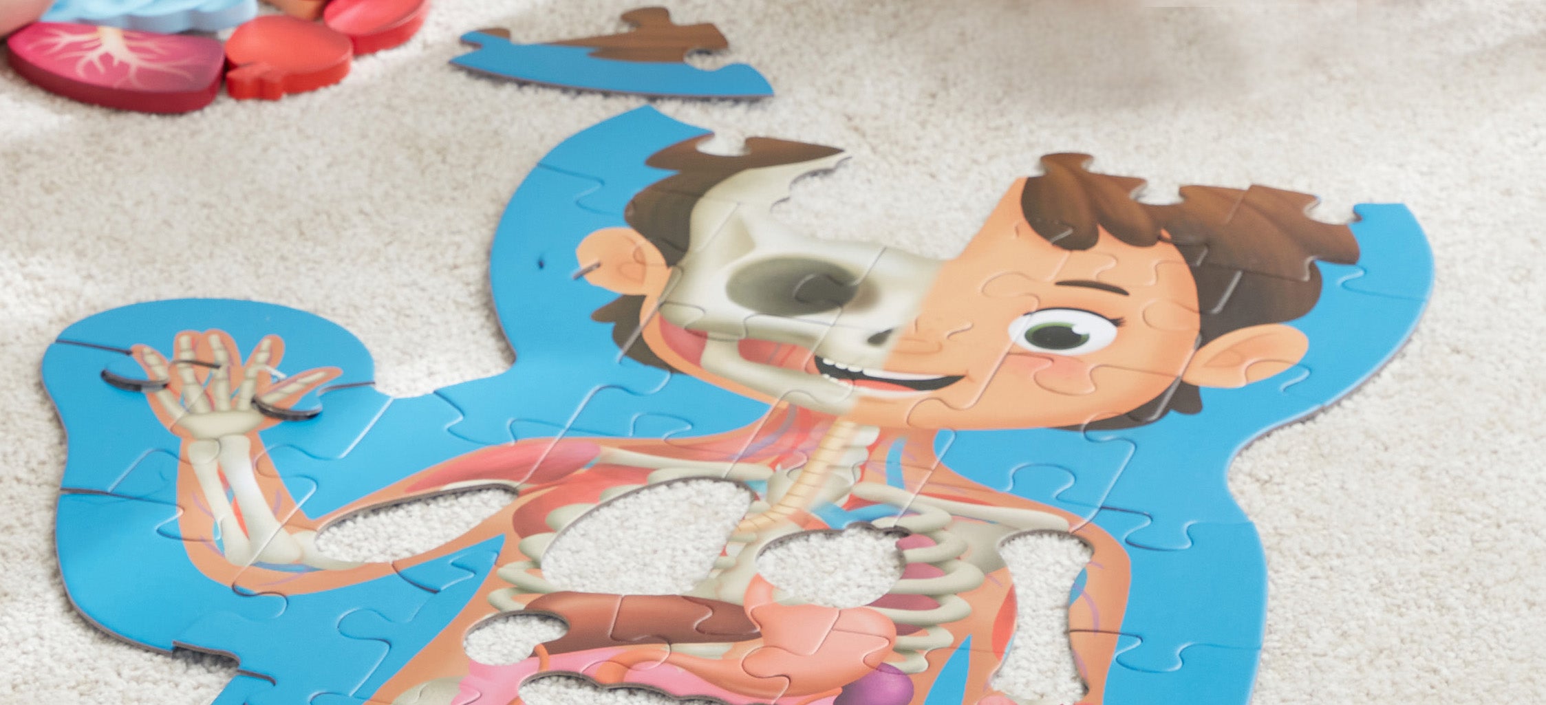 Puzle Cuerpo Humano