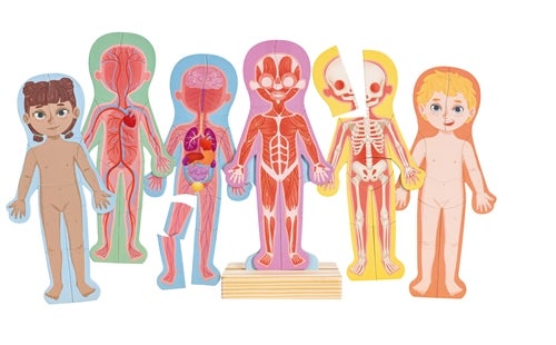 Rompecabezas Magnético del Cuerpo Humano | HAPE