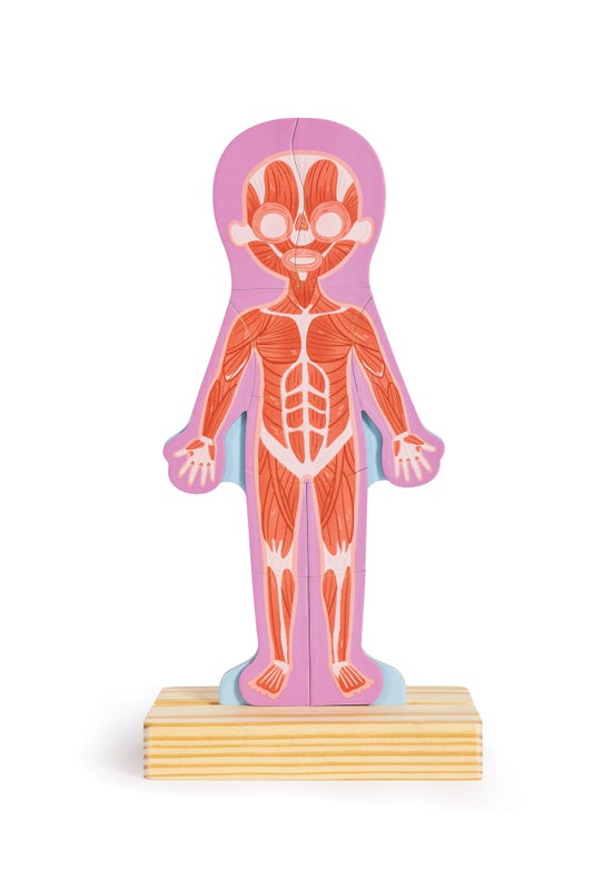 Rompecabezas Magnético del Cuerpo Humano | HAPE