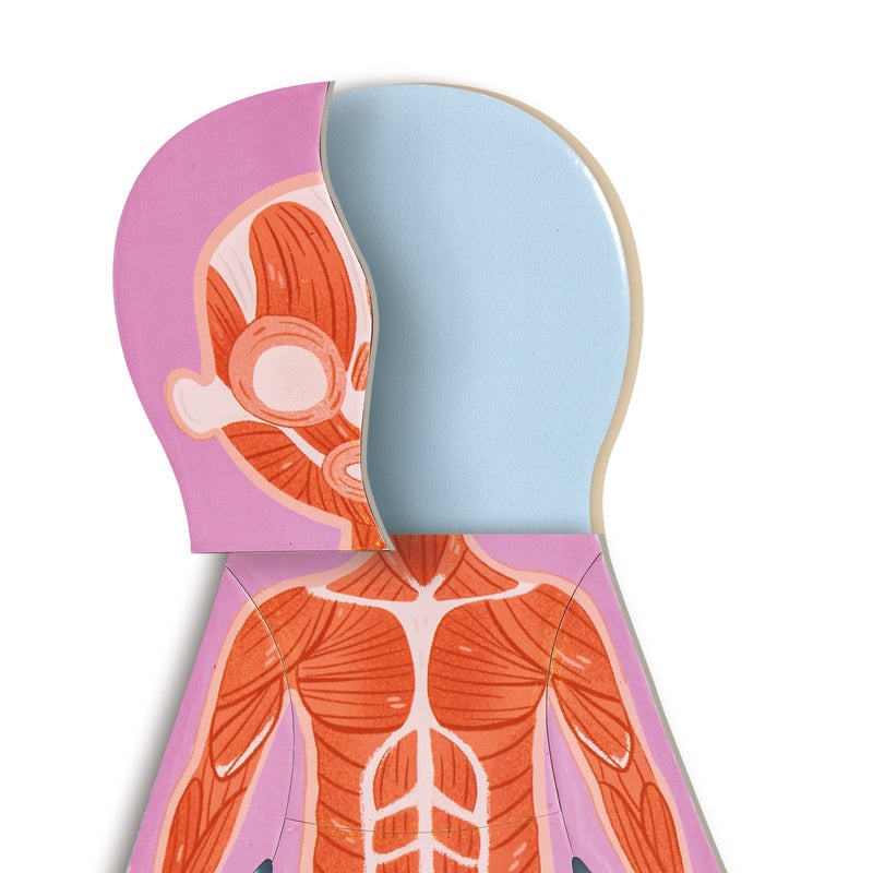 Rompecabezas Magnético del Cuerpo Humano | HAPE
