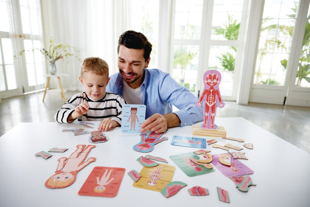 Rompecabezas Magnético del Cuerpo Humano | HAPE
