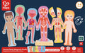 Rompecabezas Magnético del Cuerpo Humano | HAPE