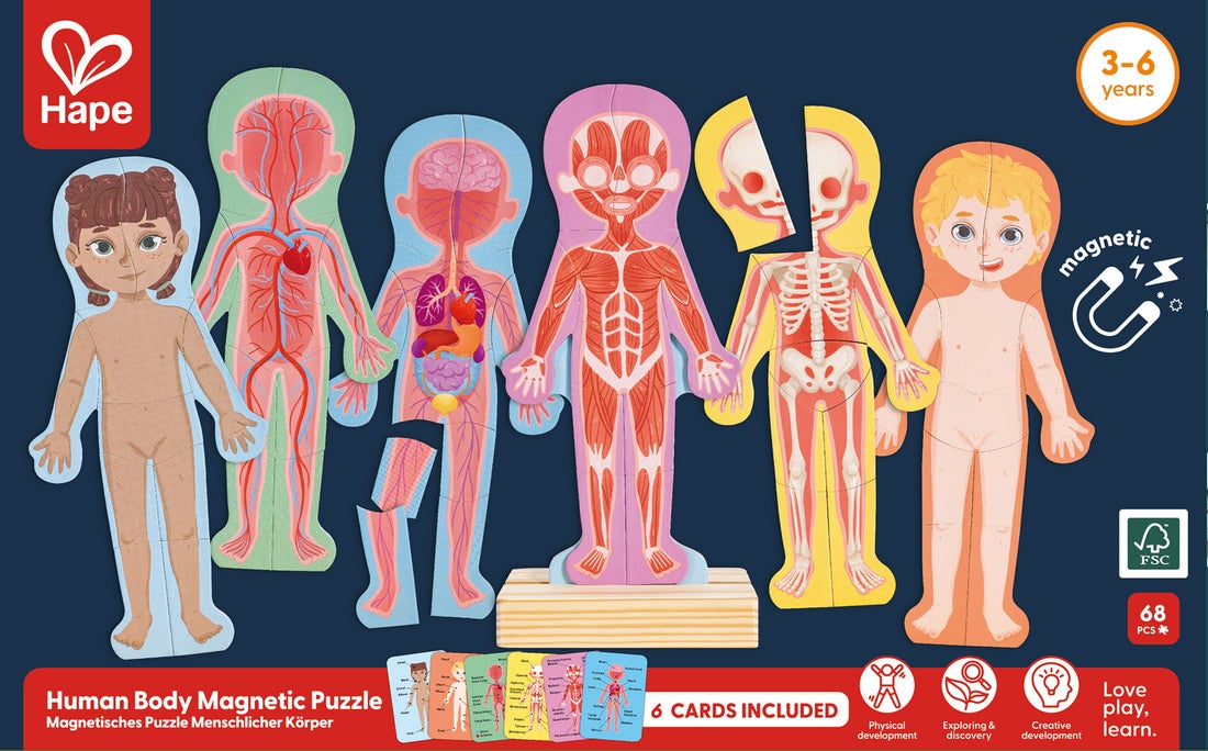 Rompecabezas Magnético del Cuerpo Humano | HAPE