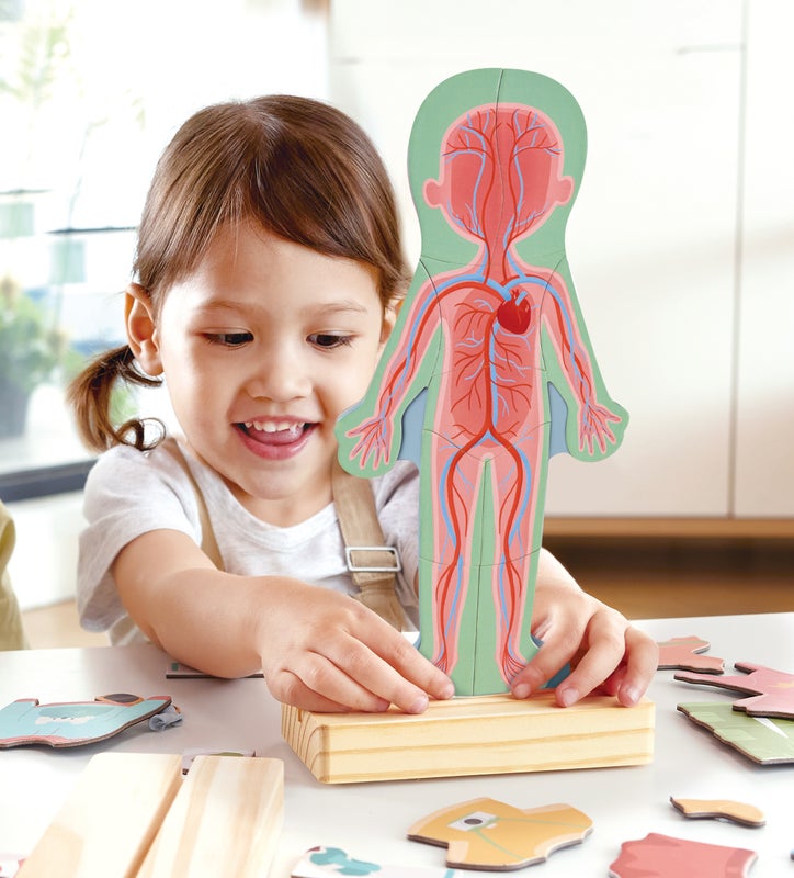 Rompecabezas Magnético del Cuerpo Humano | HAPE