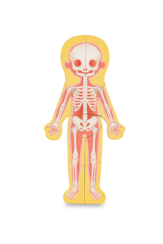 Rompecabezas Magnético del Cuerpo Humano | HAPE