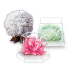 STEAM Deluxe / Ciencias de la Tierra