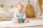 Tortuga Musical Twist & Tune – Melodías para los Primeros Meses - Hape