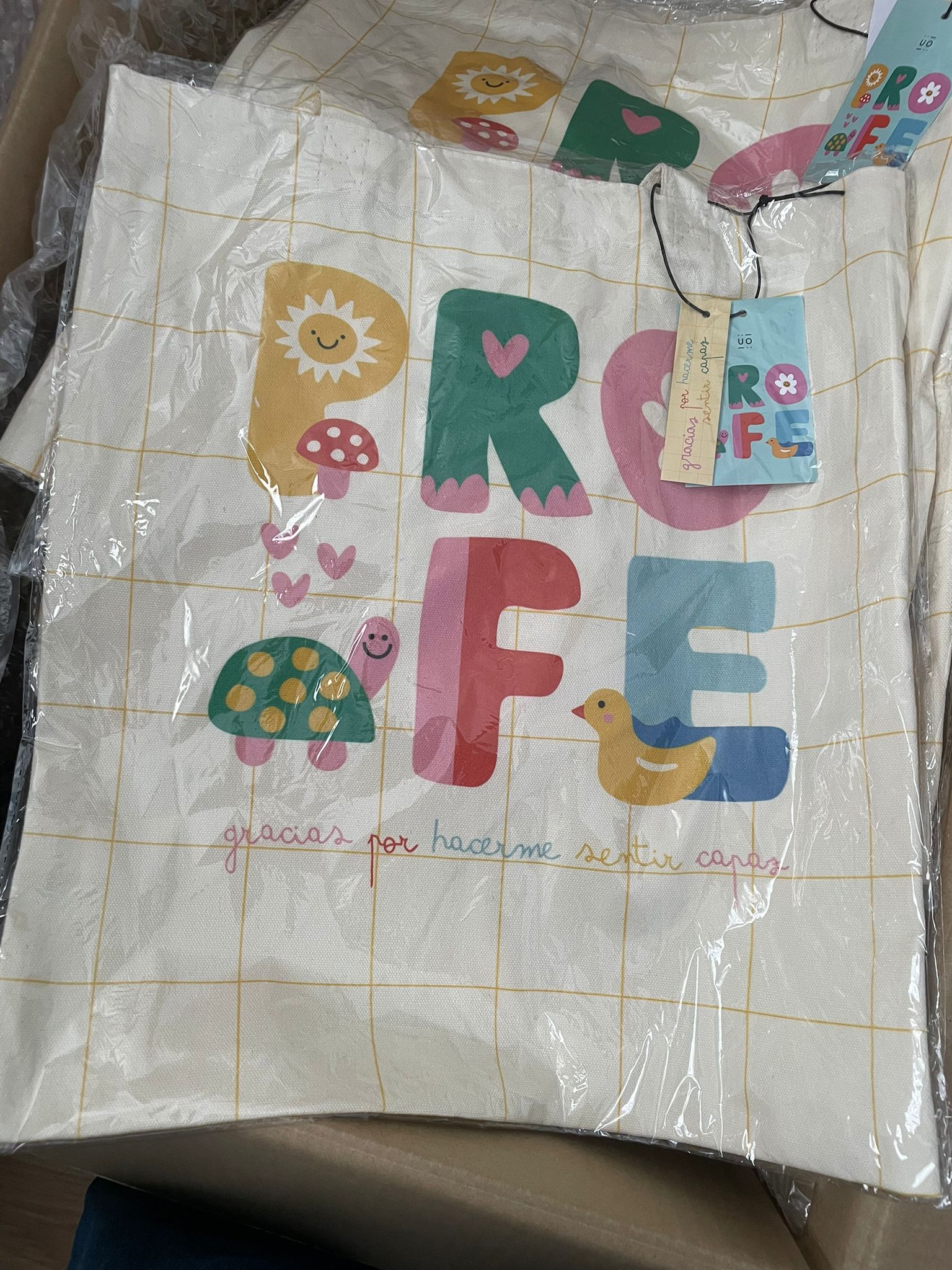 Cesta Regalo Profe – "Gracias por Hacerme Sentir Capaz"
