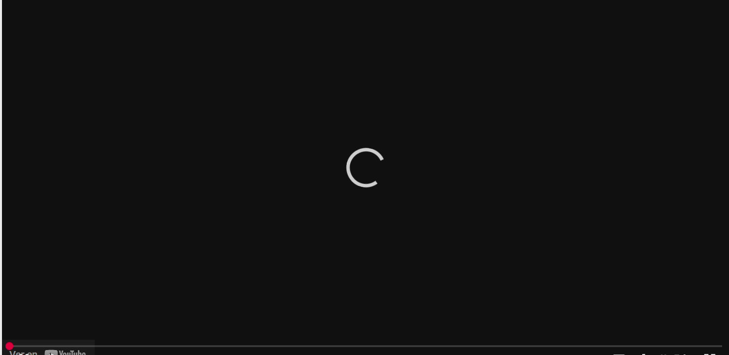 My First Safari Animals